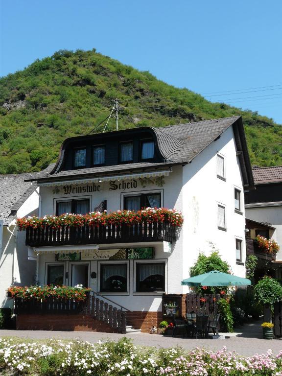 Pension / Ferienwohnungen Scheid Kestert Exterior foto